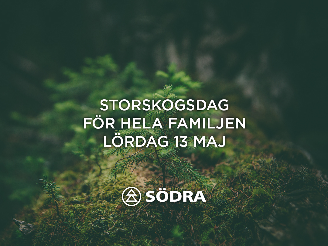 Storskogsdag i Vedema